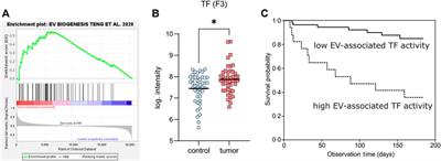 Extracellular Vesicles Linking Inflammation, Cancer and Thrombotic Risks